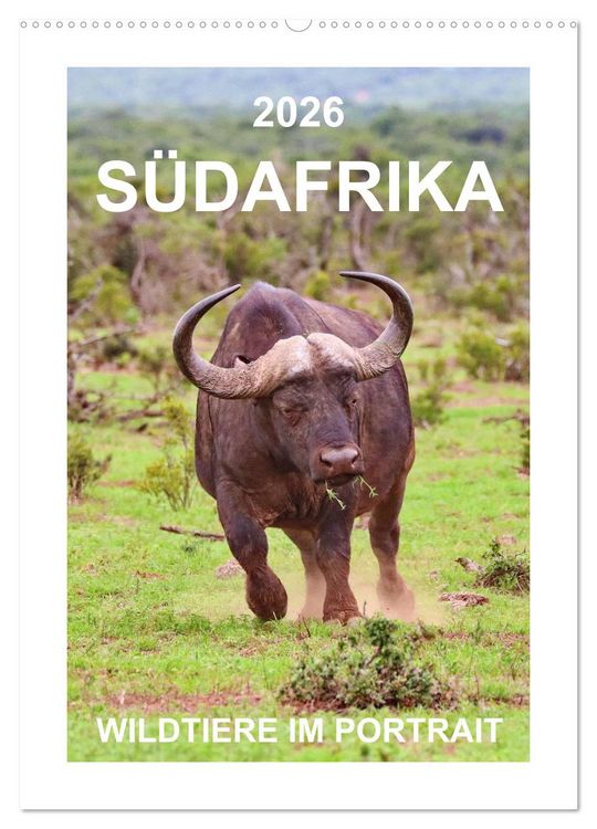 Produktbild: S&Uuml;DAFRIKA - WILDTIERE IM PORTRAIT (Wandkalender 2026 DIN A2 hoch), CALVENDO Monatskalender