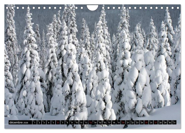 Produktbild: GASP&Eacute;SIE. Parc National du Qu&eacute;bec (Calendrier mural 2026 DIN A4 vertical), CALVENDO calendrier mensuel