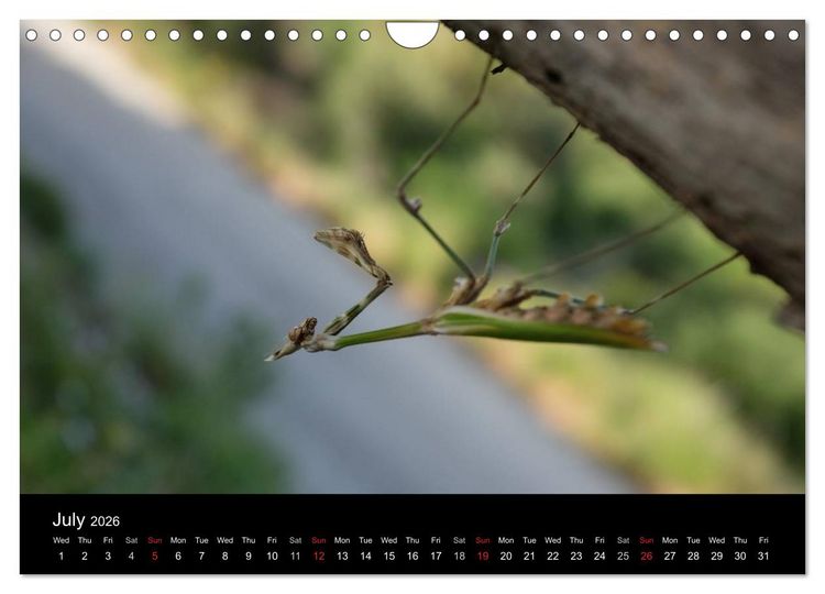 Produktbild: The Greek Island Of Ikaria (Wall Calendar 2026 DIN A4 landscape), CALVENDO 12 Month Wall Calendar
