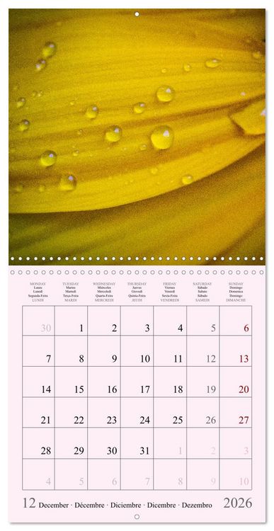 Produktbild: Les saisons en fleurs (Calendrier mural carr&eacute; 2026 30x30 cm) Calendrier double avec une page pour vos prises de notes