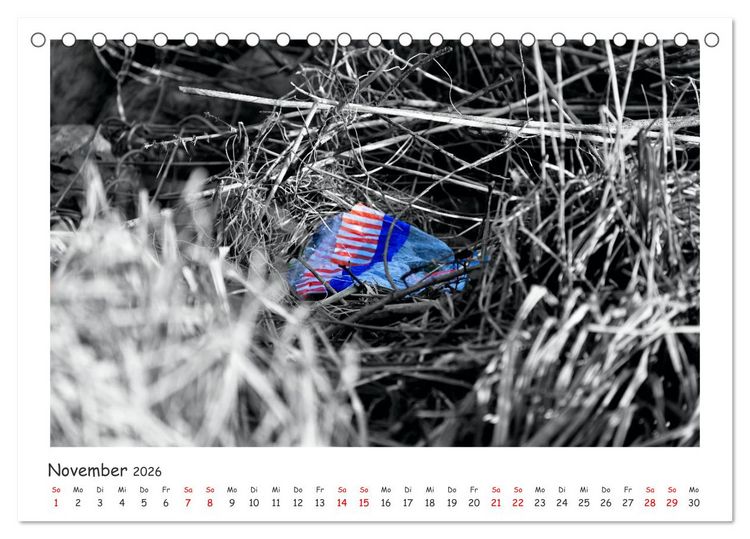 Produktbild: Gestrandet -Treibgut- (Tischkalender 2026 DIN A5 quer), CALVENDO Monatskalender
