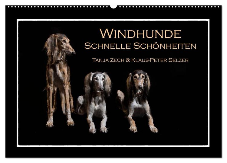 Produktbild: Windhunde - Schnelle Sch&ouml;nheiten (Wandkalender 2026 DIN A2 quer), CALVENDO Monatskalender