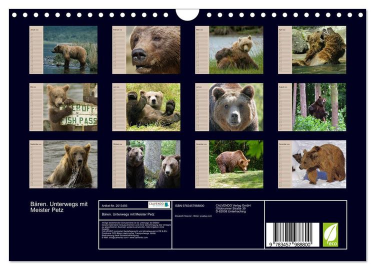 Produktbild: B&auml;ren. Unterwegs mit Meister Petz (Wandkalender 2026 DIN A4 quer), CALVENDO Monatskalender