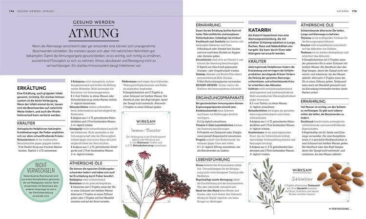 Produktbild: Die gr&uuml;ne Hausapotheke