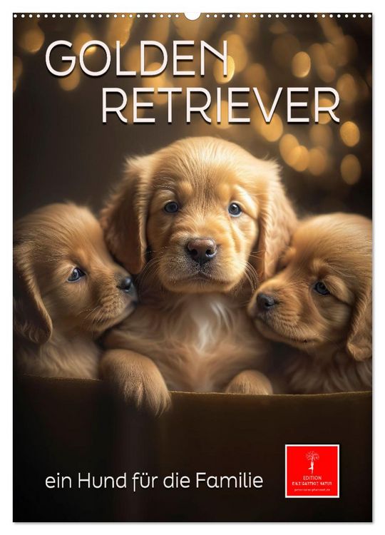 Produktbild: Golden Retriever - ein Hund f&uuml;r die Familie (Wandkalender 2026 DIN A2 hoch), CALVENDO Monatskalender