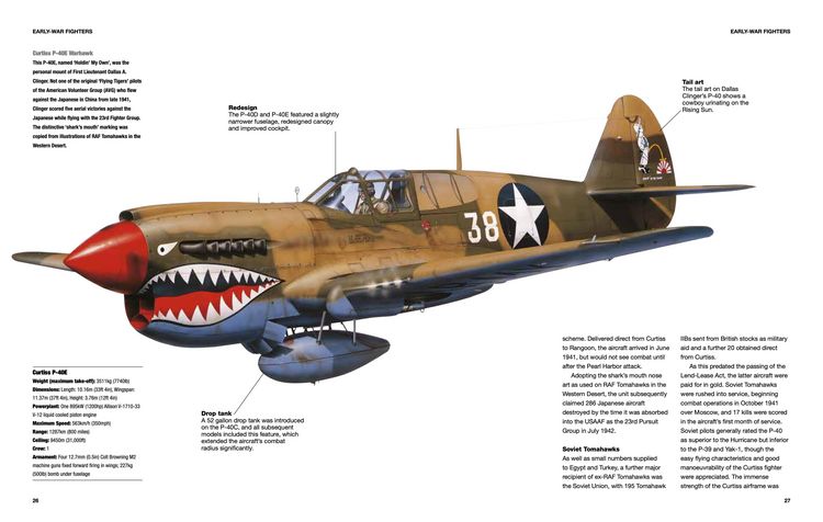 Produktbild: American Fighter Aircraft of World War II