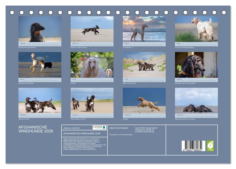 Produktbild: AFGHANISCHE WINDHUNDE 2026 (Tischkalender 2026 DIN A5 quer), CALVENDO Monatskalender