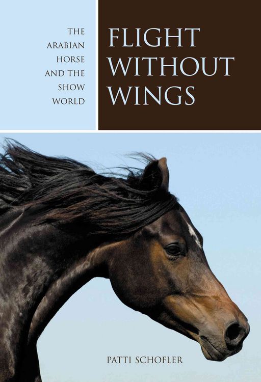 Produktbild: Flight without Wings