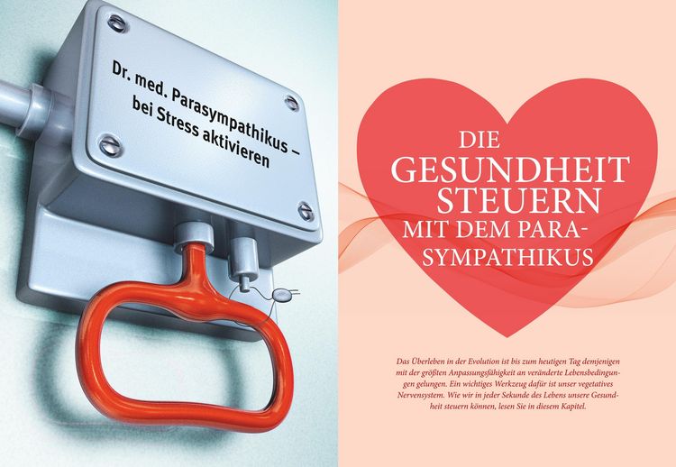 Produktbild: Das Parasympathikus-Prinzip