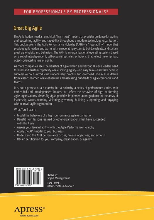 Produktbild: Great Big Agile