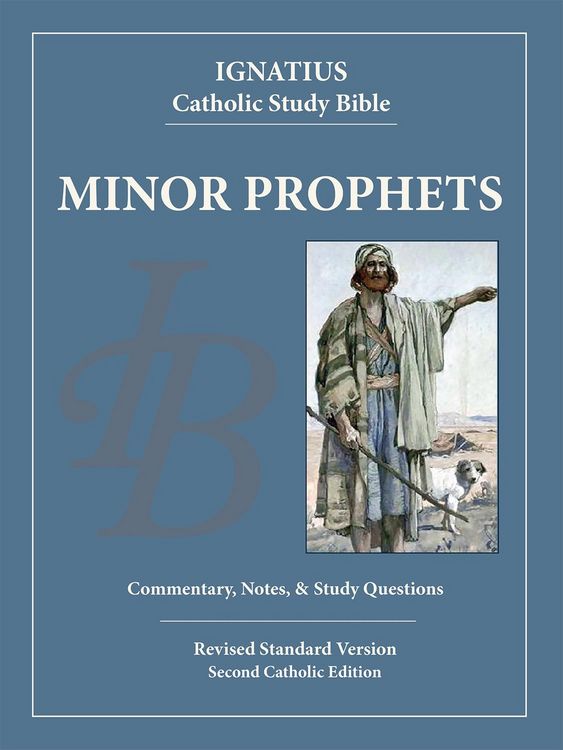 Produktbild: The Minor Prophets