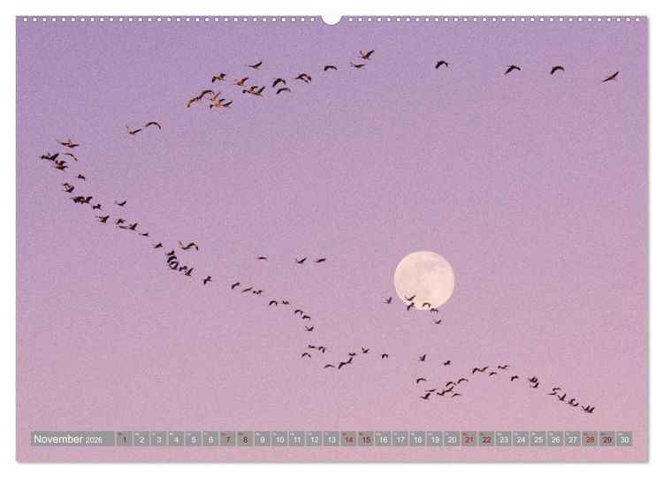 Produktbild: Vollmond - Momente der Ruhe (Wandkalender 2026 DIN A2 quer), CALVENDO Monatskalender