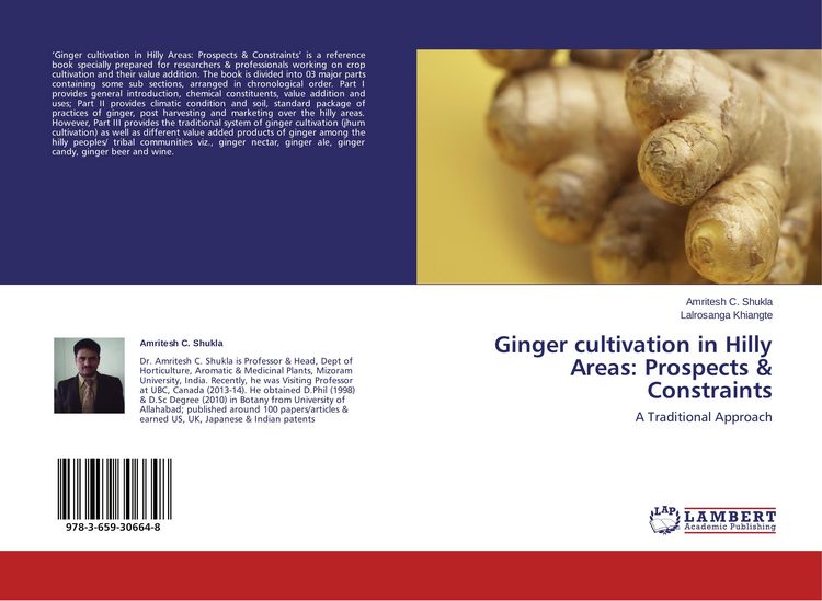 Produktbild: Ginger cultivation in Hilly Areas: Prospects & Constraints