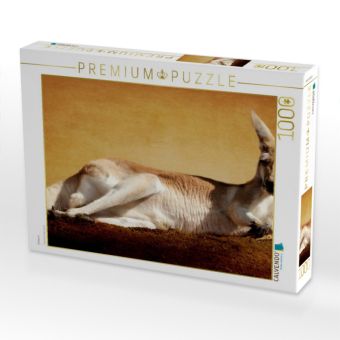 Produktbild: CALVENDO Puzzle K&auml;nguru | 1000 Teile Lege-Gr&ouml;&szlig;e 64x48cm Foto-Puzzle f&uuml;r gl&uuml;ckliche Stunden