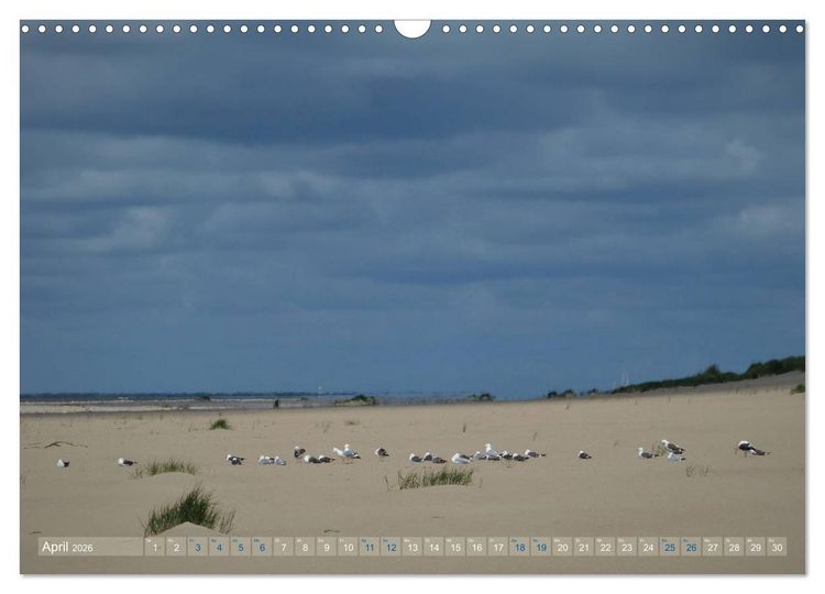 Produktbild: Texel. Neue D&uuml;nen (Wandkalender 2026 DIN A3 quer), CALVENDO Monatskalender