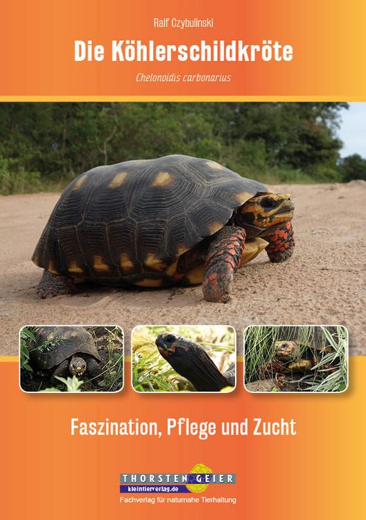 Produktbild: Die K&ouml;hlerschildkr&ouml;te Chelonoidis carbonarius