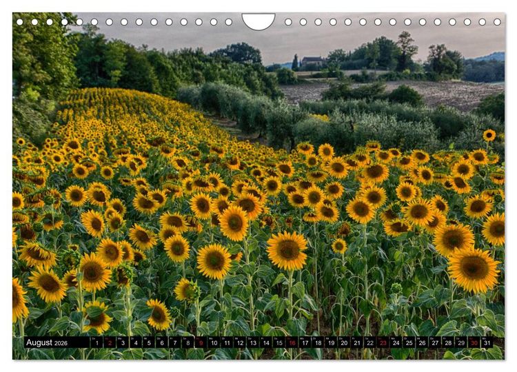 Produktbild: Abends in der Toskana (Wandkalender 2026 DIN A4 quer), CALVENDO Monatskalender