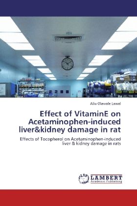 Produktbild: Lawal, A: Effect of VitaminE on Acetaminophen-induced liver&