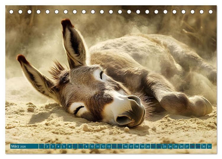 Produktbild: Plitsch, Platsch, tierisch nass (Tischkalender 2026 DIN A5 quer), CALVENDO Monatskalender