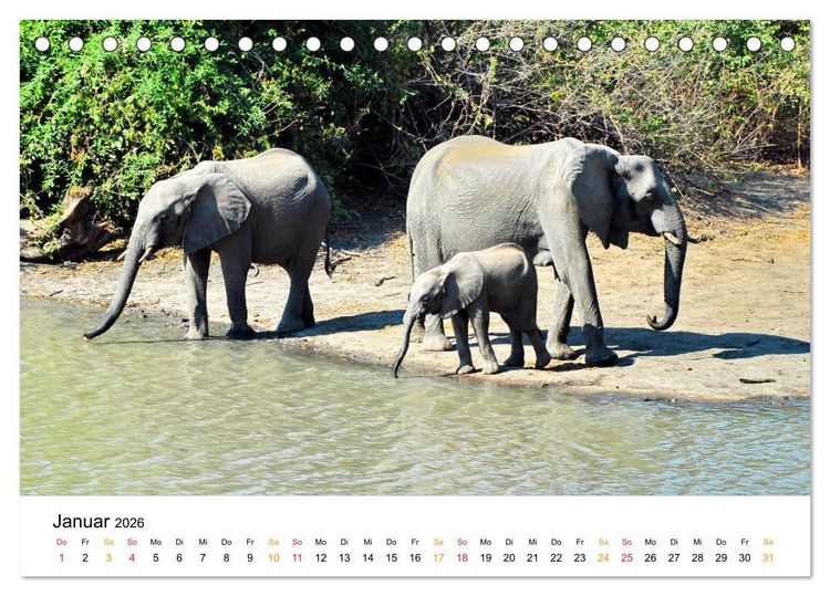 Produktbild: Elefanten Impressionen (Tischkalender 2026 DIN A5 quer), CALVENDO Monatskalender