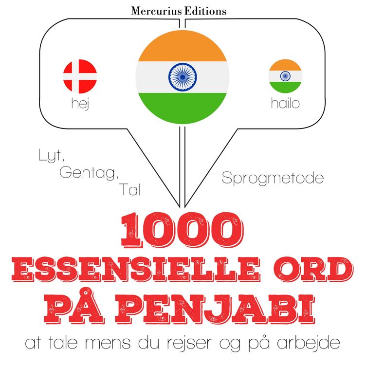 Produktbild: 1000 essentielle ord i Penjabi