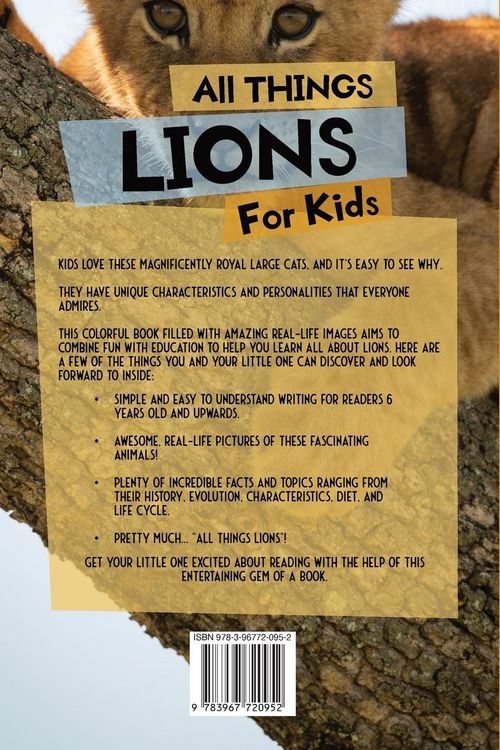 Produktbild: All Things Lions For Kids
