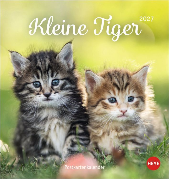 Produktbild: Katzen Postkartenkalender Kleine Tiger 2027