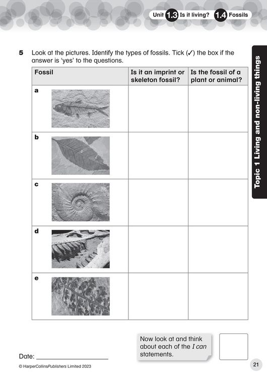 Produktbild: Collins International Primary Science