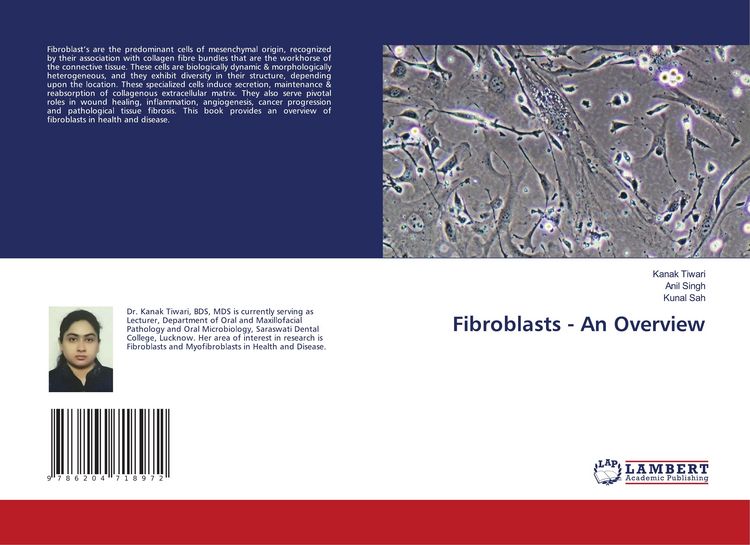 Produktbild: Fibroblasts - An Overview