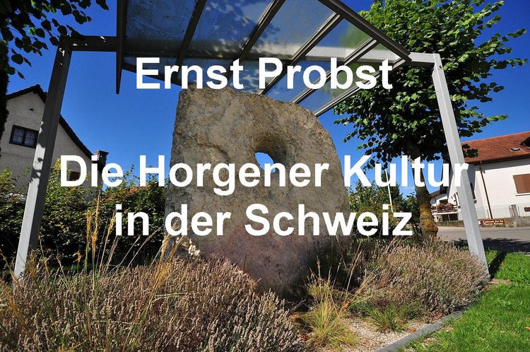 Produktbild: Die Horgener Kultur in der Schweiz