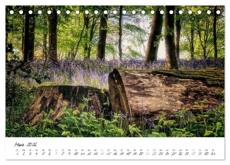 Produktbild: Romantisches Gro&szlig;britannien (Tischkalender 2026 DIN A5 quer), CALVENDO Monatskalender