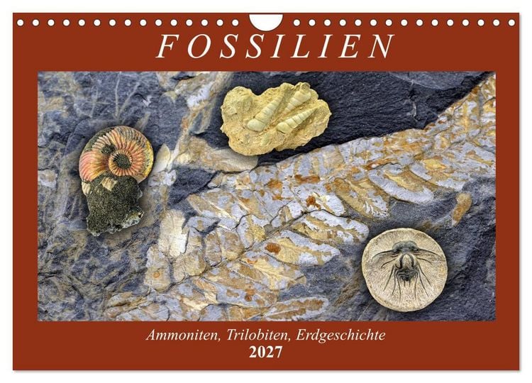 Produktbild: Fossilien - Ammoniten, Trilobiten, Erdgeschichte (Wandkalender 2027 DIN A4 quer), CALVENDO Monatskalender