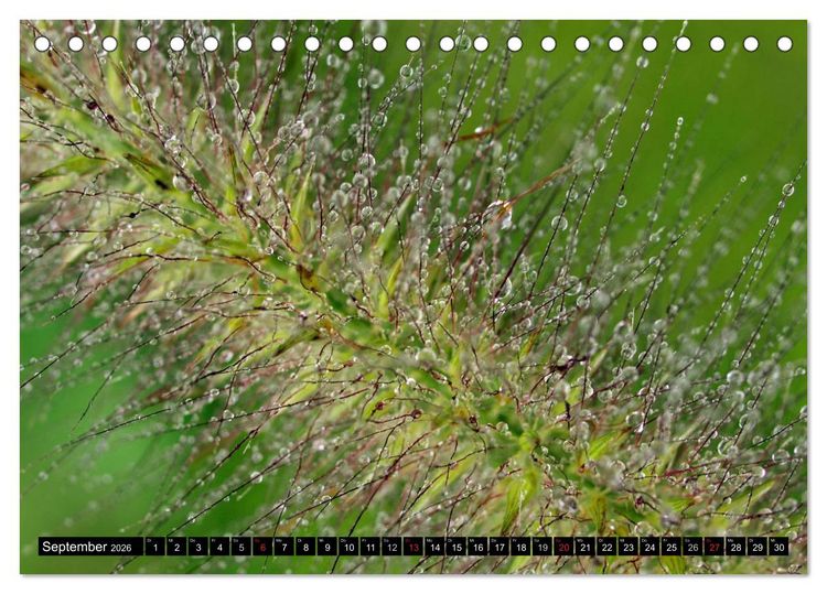 Produktbild: Wassertropfen - Diamanten des Lebens (Tischkalender 2026 DIN A5 quer), CALVENDO Monatskalender