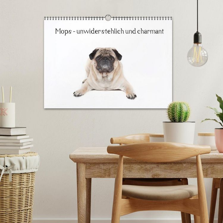Produktbild: Mops - unwiderstehlich und charmant (Wandkalender 2026 DIN A3 quer), CALVENDO Monatskalender