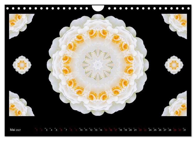 Produktbild: ROSEN MANDALAS (Wandkalender 2027 DIN A4 quer), CALVENDO Monatskalender