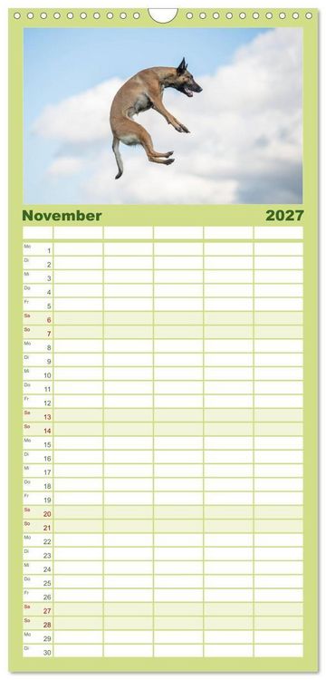 Produktbild: Familienplaner 2027 - Belgischer Sch&auml;ferhund - Der Malinois in Action mit 5 Spalten (Wandkalender, 21 x 45 cm) CALVENDO