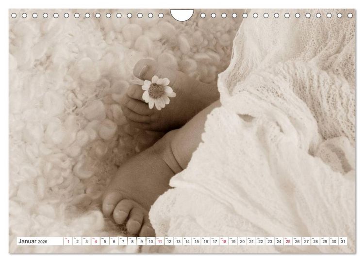 Produktbild: Babys - Willkommen im Leben (Wandkalender 2026 DIN A4 quer), CALVENDO Monatskalender