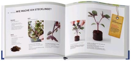 Produktbild: K&uuml;cherkr&auml;uter Soforthelfer