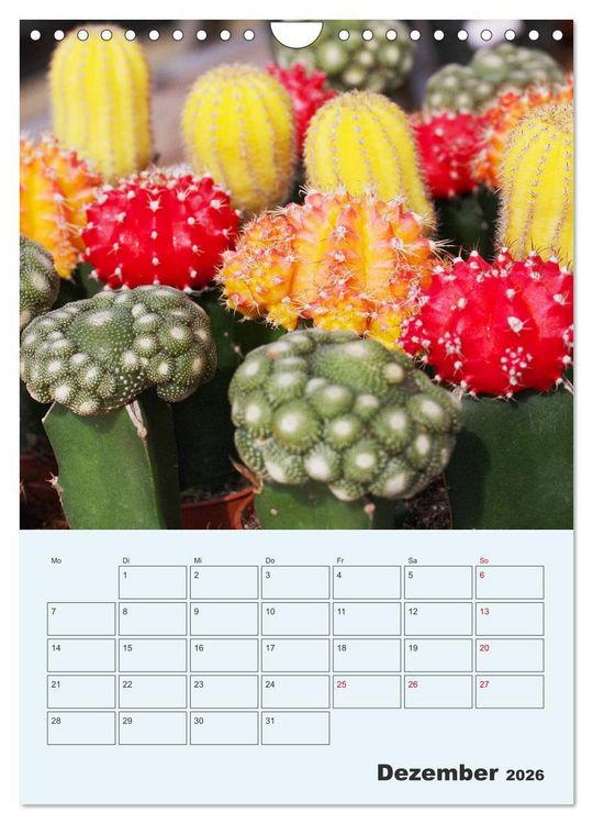 Produktbild: Wehrhafte Sukkulenten (Wandkalender 2026 DIN A4 hoch), CALVENDO Monatskalender