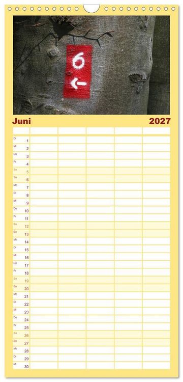 Produktbild: Familienplaner 2027 - Alles in Rot mit 5 Spalten (Wandkalender, 21 x 45 cm) CALVENDO