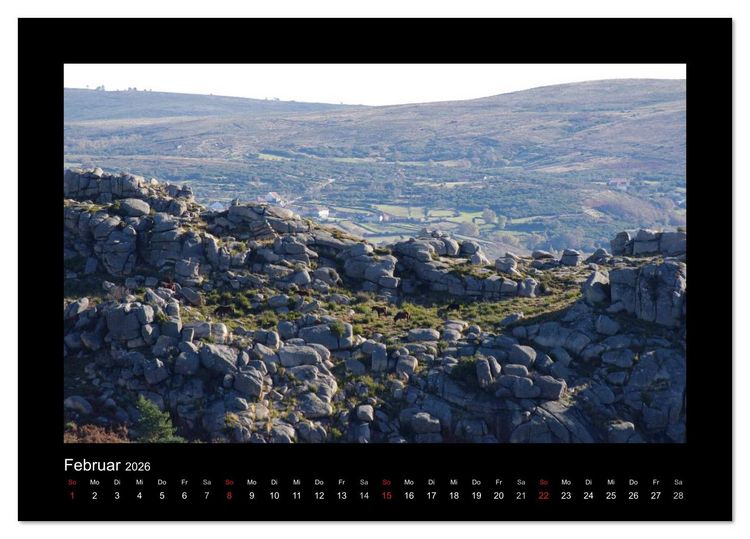 Produktbild: Garranos - Bedrohte Wildpferde Europas (Tischkalender 2026 DIN A5 quer), CALVENDO Monatskalender