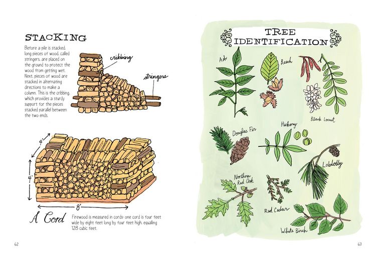 Produktbild: Farm Anatomy