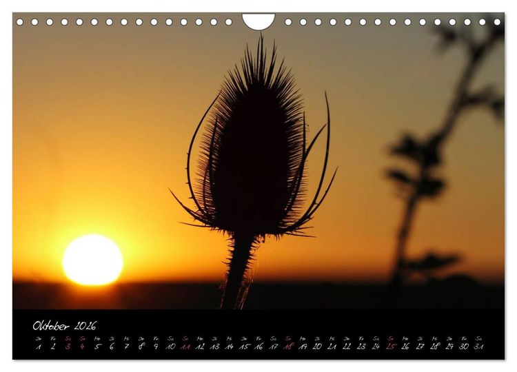 Produktbild: Zeit der Natur - Ein Augenblick zur Ewigkeit (Wandkalender 2026 DIN A4 quer), CALVENDO Monatskalender