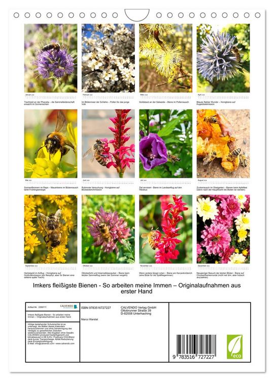 Produktbild: Imkers flei&szlig;igste Bienen - So arbeiten meine Immen &ndash; Originalaufnahmen aus erster Hand (Wandkalender 2026 DIN A4 hoch), CALVENDO Monatskalender