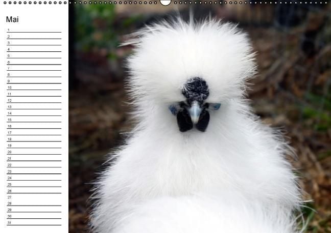 Produktbild: H&uuml;hner / Geburtstagskalender (Wandkalender immerw&auml;hrend DIN A2 quer)