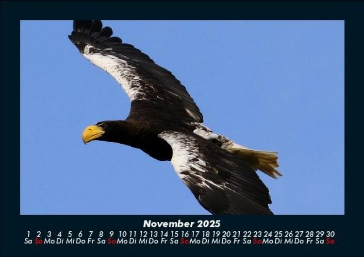 Produktbild: Adler 2025 Fotokalender DIN A5