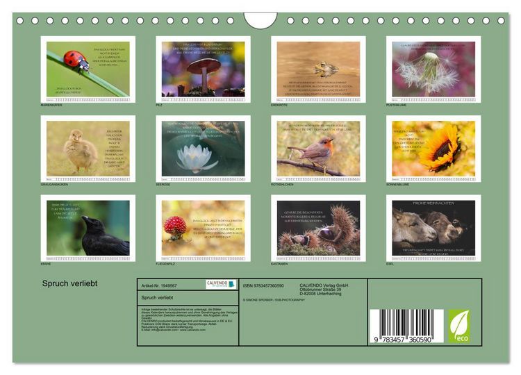 Produktbild: Spruch verliebt (Wandkalender 2026 DIN A4 quer), CALVENDO Monatskalender