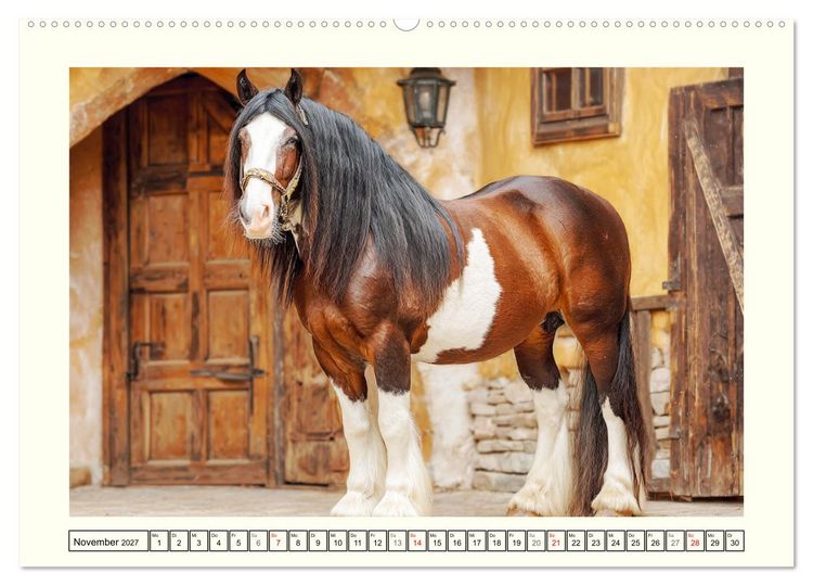 Produktbild: Irlands Pferde. Irish Tinker zwischen Weiden, Wasser und Wald (Wandkalender 2027 DIN A2 quer), CALVENDO Monatskalender
