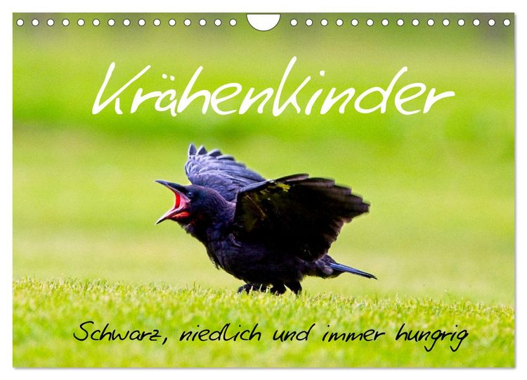 Produktbild: Kr&auml;henkinder - Schwarz, niedlich und immer hungrig (Wandkalender 2026 DIN A4 quer), CALVENDO Monatskalender