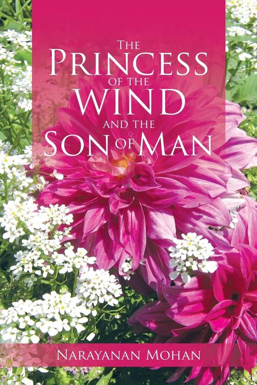 Produktbild: The Princess of the Wind and the Son of Man